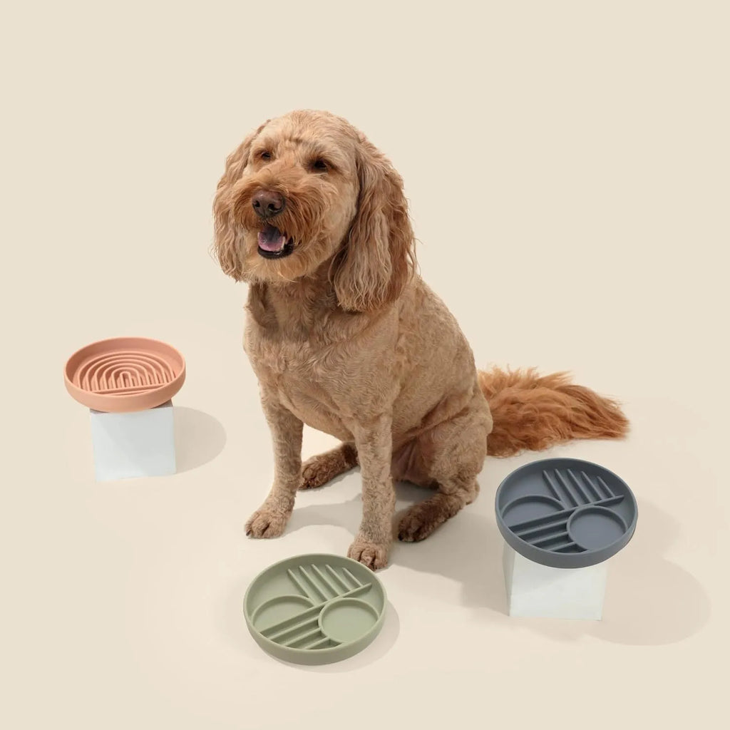 Silicone slow feeder bowl for dogs with ridges and nooks, available in beige, charcoal ash, gray blue, mango yellow, mustard green, or red.