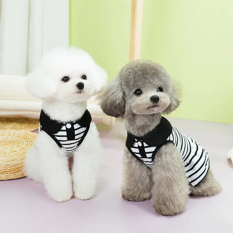 Pet wearing striped cotton T-shirt and skirt set in casual style