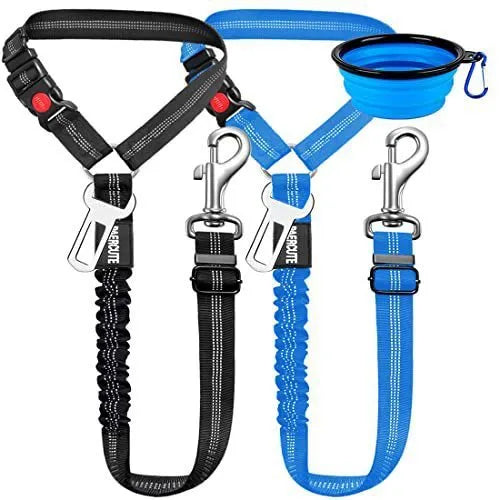 Nylon dog tow rope with metal buckle fastener in assorted colours on a white background.