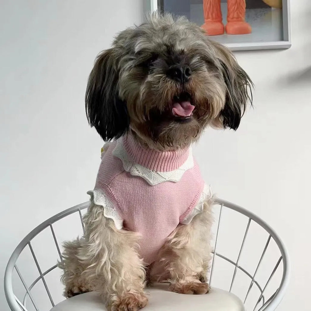 Green floral knitted dog sweater on a small dog, showing size chart for XS, S, M, L, XL.
