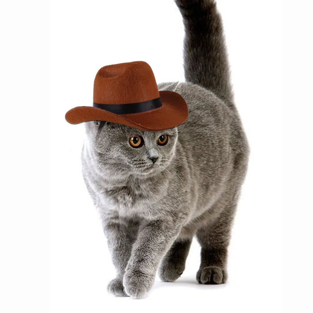 Adjustable pet cowboy hat in four colours for dog photography and cosplay