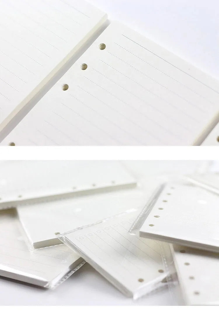 A5 6-hole loose-leaf refill with 40 sheets of Daolin paper in lined, blank, dot grid or square page styles.