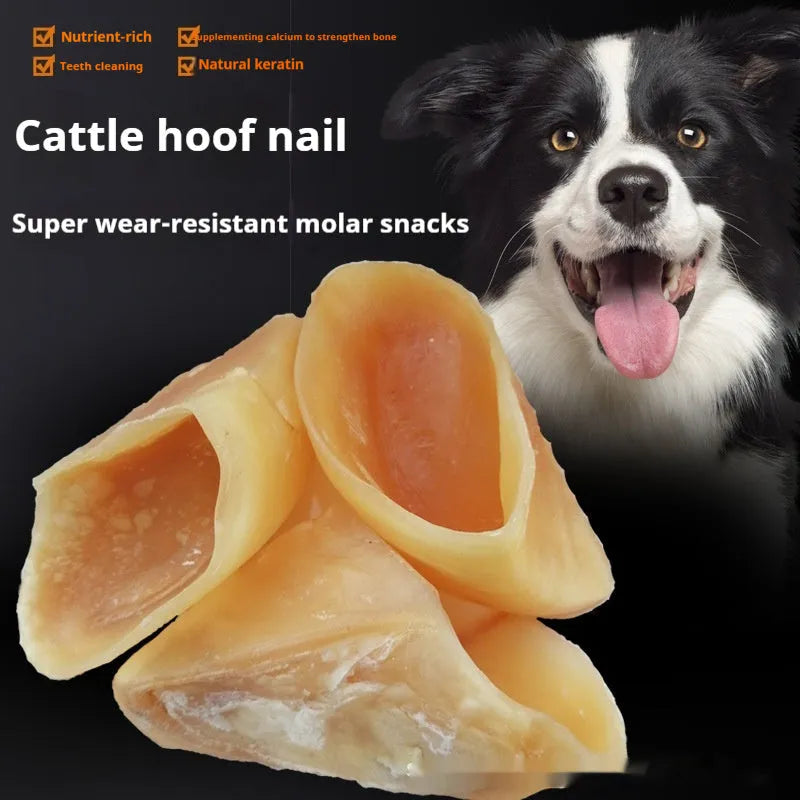 Natural cowhide dog chew with hoof shell colour and edible cutin layer for dental health