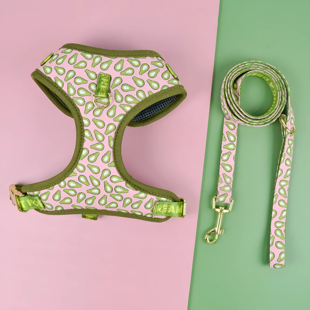 Summer dog harness and lead set in a playful pink avocado print, fitted on a medium-sized dog.