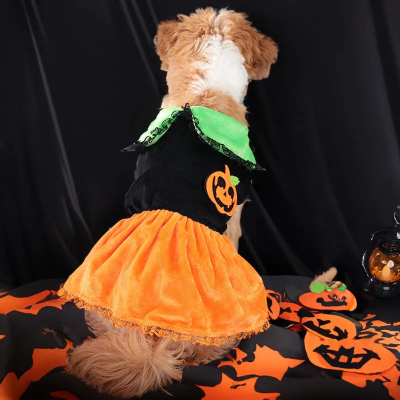 Halloween pumpkin skirt and sweater pet costumes for dogs and cats in crystal velvet material