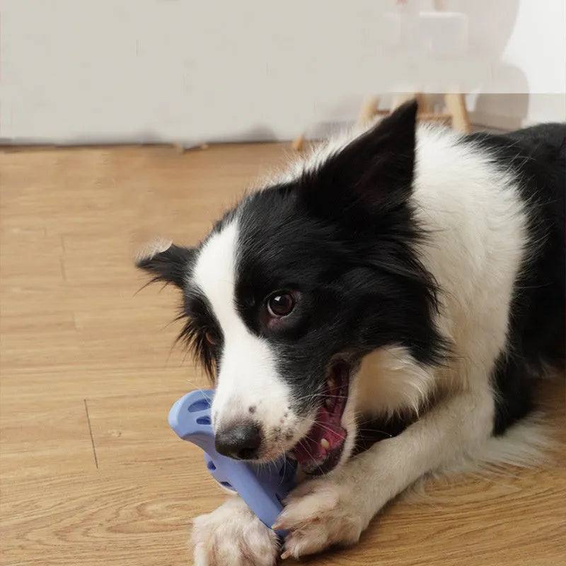 Blue boomerang-shaped dog toy with molar texture, measuring 132mm