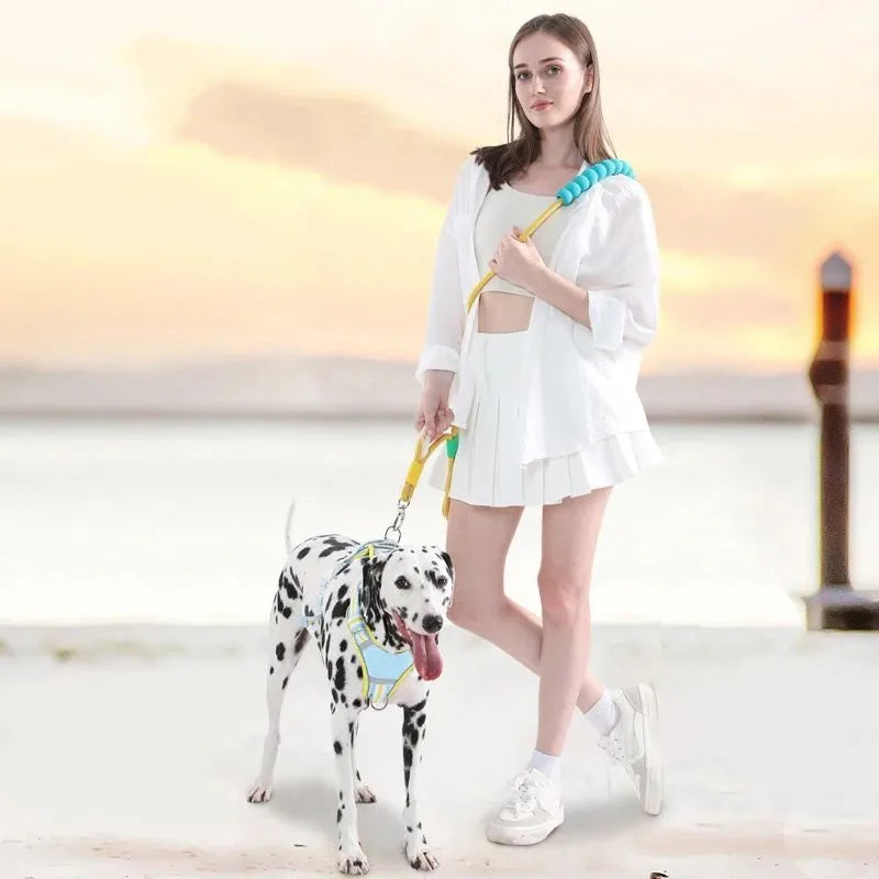 Nylon dog traction leash with foam handle showing black, light purple, sky blue and yellow colour options