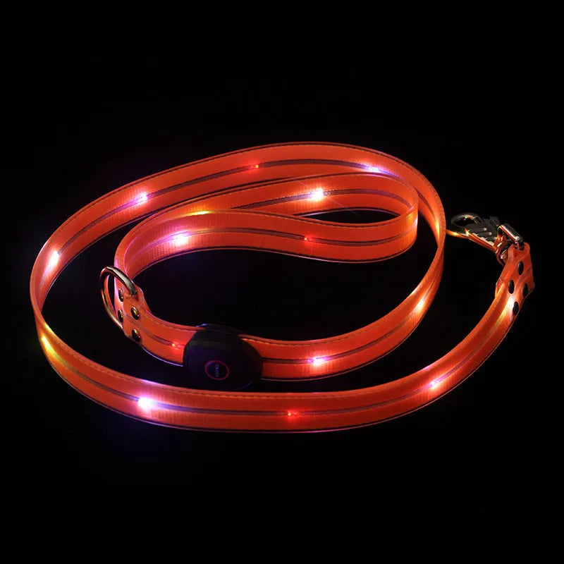 Fluorescent PVC dog leash and collar set in bright colours for pet walking