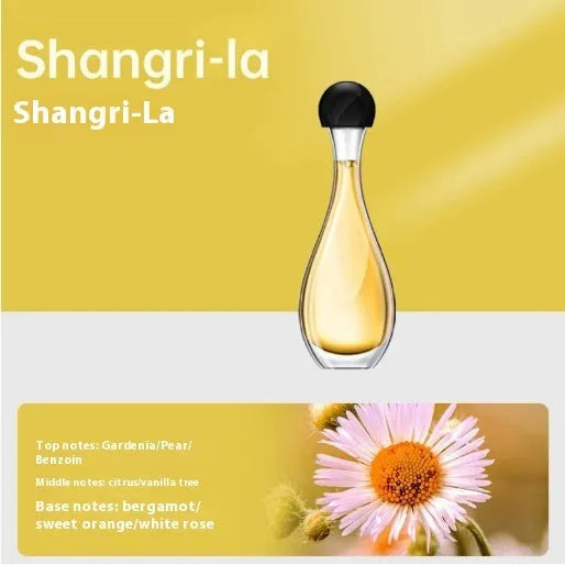Blue ultrasonic aroma diffuser with mosquito repellent function, 15cm diameter, showing essential oil bottle