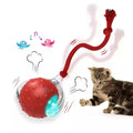 A single bright red plastic interactive cat toy ball designed for rolling and chase play.