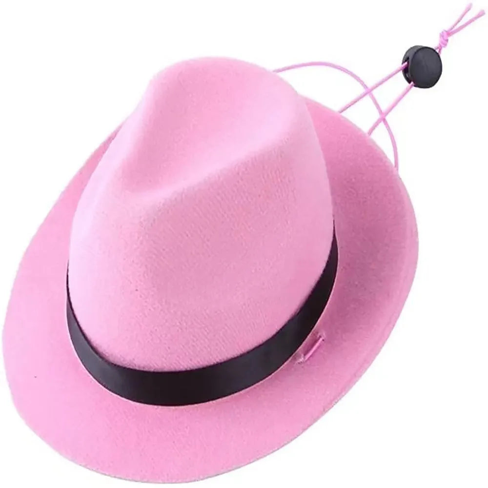 Small dog wearing 155cm diameter wool felt sun hat in denim style with manual stitching details