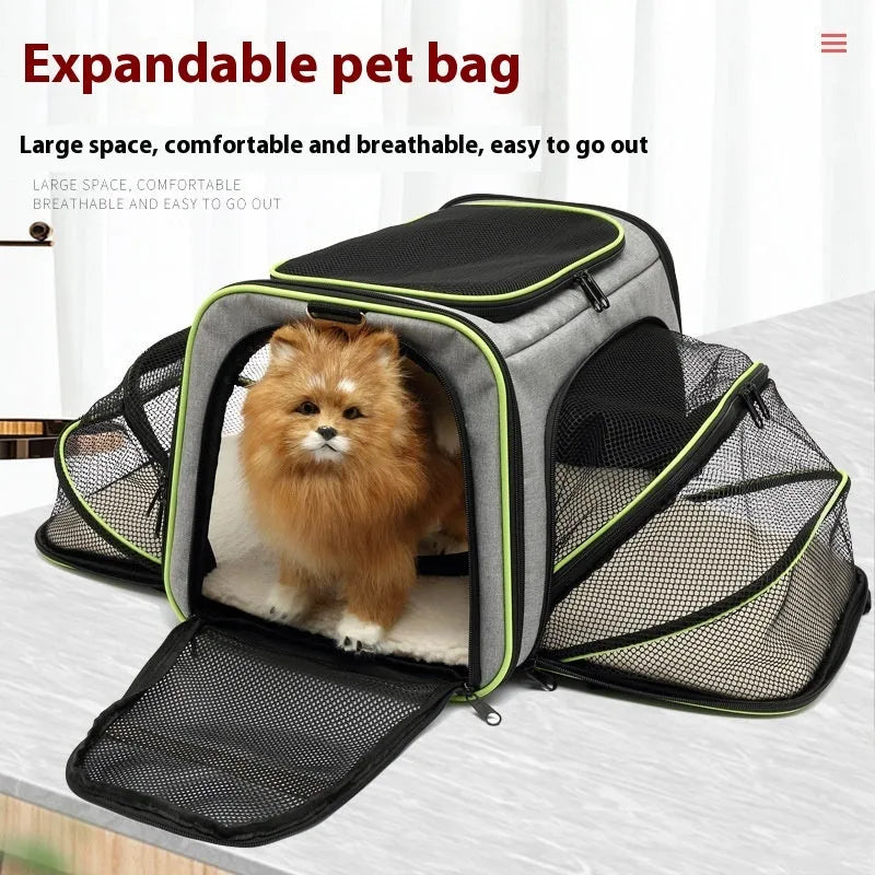 Cat bag in solid colour with piping details, showing 600D cation fabric and capacity for 12-15 jin goods