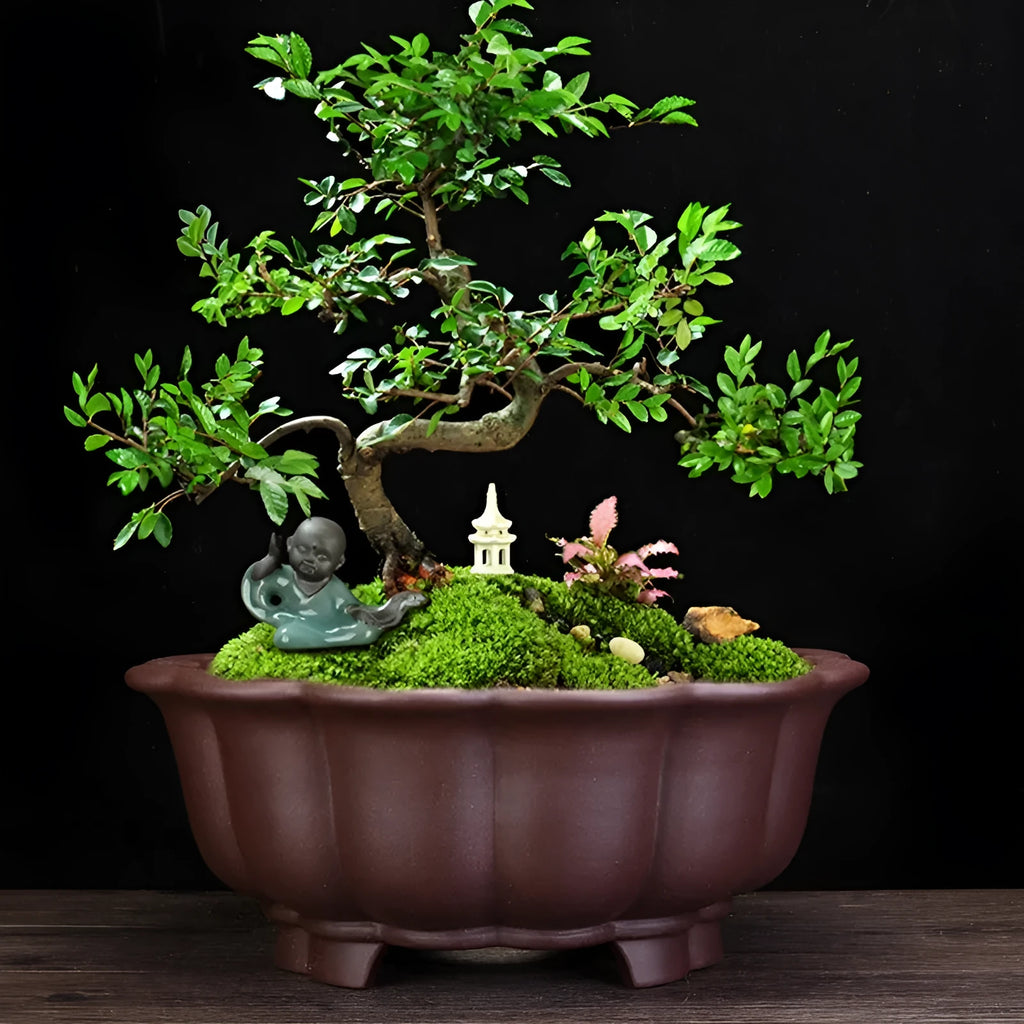 Large purple sand ceramic diamond flower pot for indoor bonsai, in dark violet or purplish red