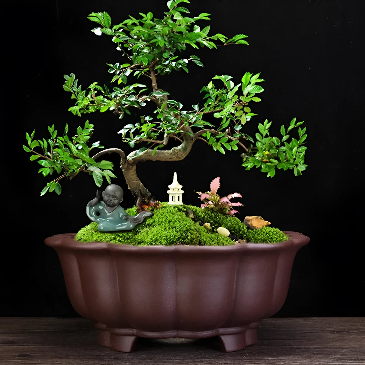 Large purple sand ceramic diamond flower pot for indoor bonsai, in dark violet or purplish red