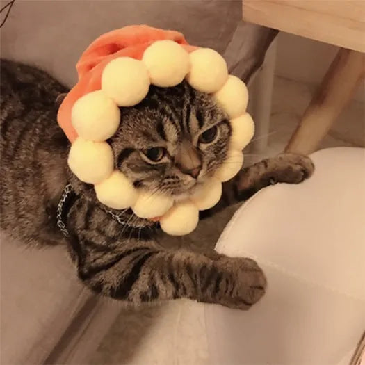 Sunflower embroidered cloth hat for cats on a white background.