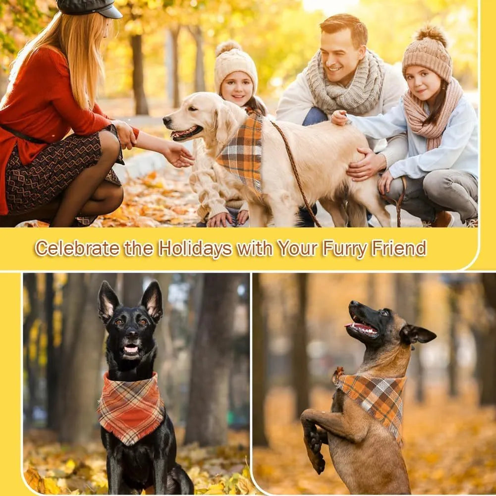 Plaid triangle dog bandana with tassel edges in autumn colours on a dog's neck.