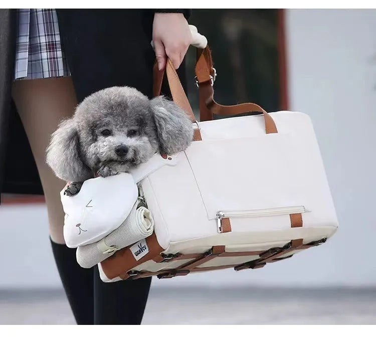 Beige hard-sided cat carrier with one-shoulder strap, EPE padding interior, dimensions 43x25x22.5cm
