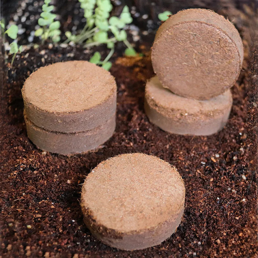 Compressed nutrient soil blocks for vegetable planting showing expansion when watered, with size options from 30x10mm to 100x20mm