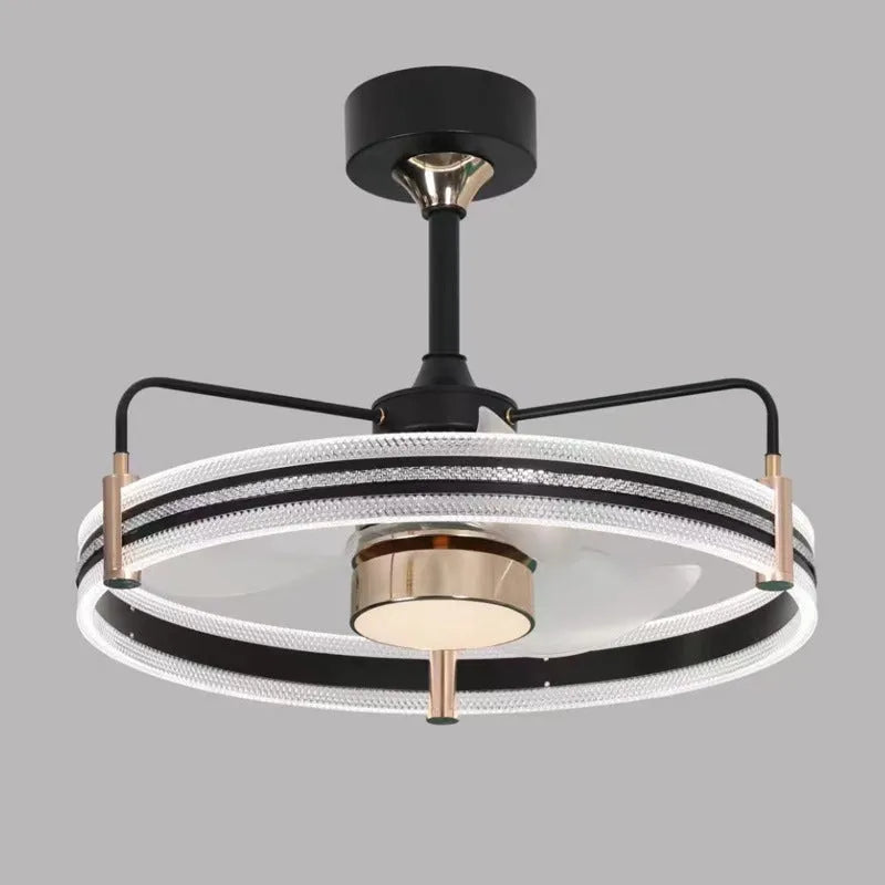 Modern ceiling fan light with five blades and acrylic lampshade in black finish, diameter 60cm