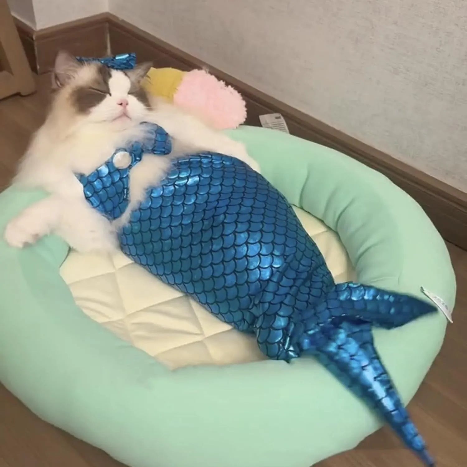 Blue pet mermaid costume with fishtail and elastic chest strap on a small cat