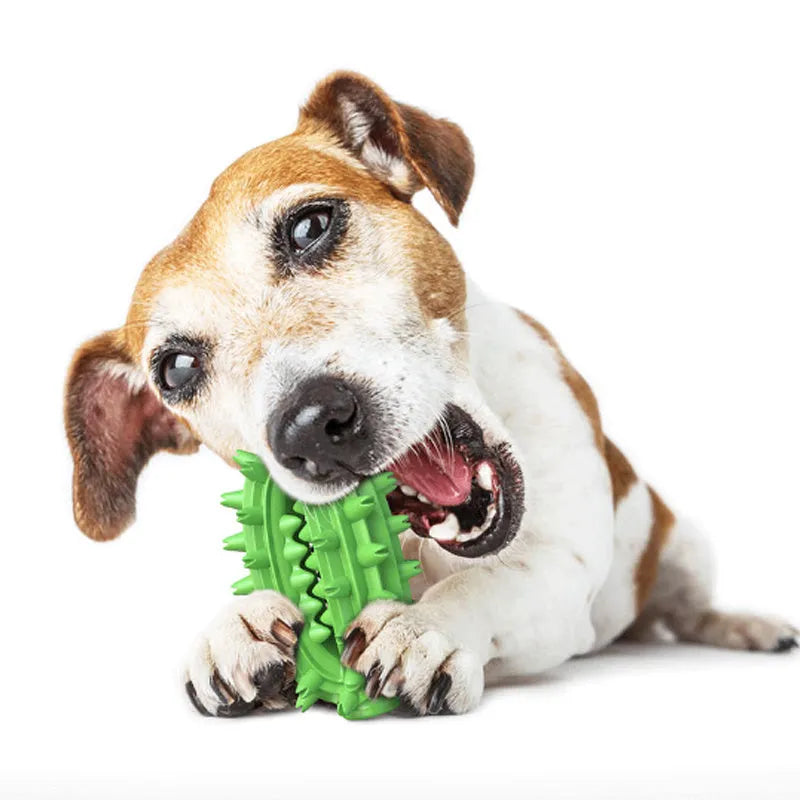 Green cactus-shaped dog toothbrush toy with dental cleaning bumps and central treat channel for medium to large dogs