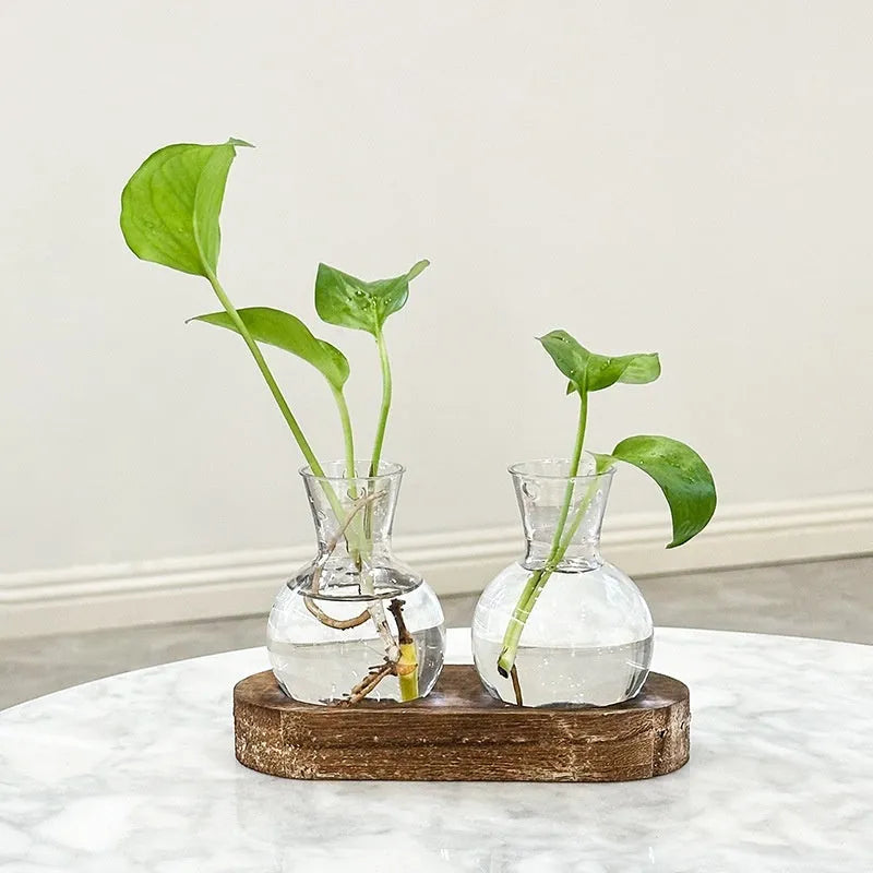 Wooden frame holding transparent PET hydroponic vases in wood colour, arranged neatly for plant display