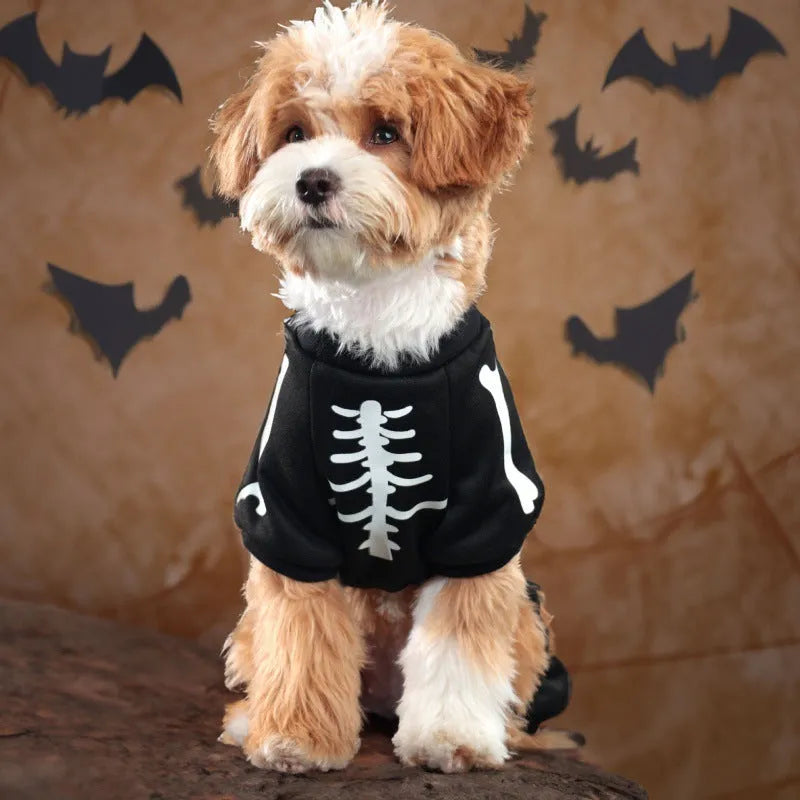 Halloween luminous skeleton costume for a dog, showing four-legged design.