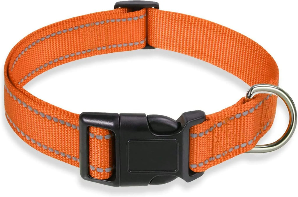 Adjustable nylon dog collar with chest strap in multiple colour options
