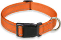 Adjustable nylon dog collar with chest strap in multiple colour options