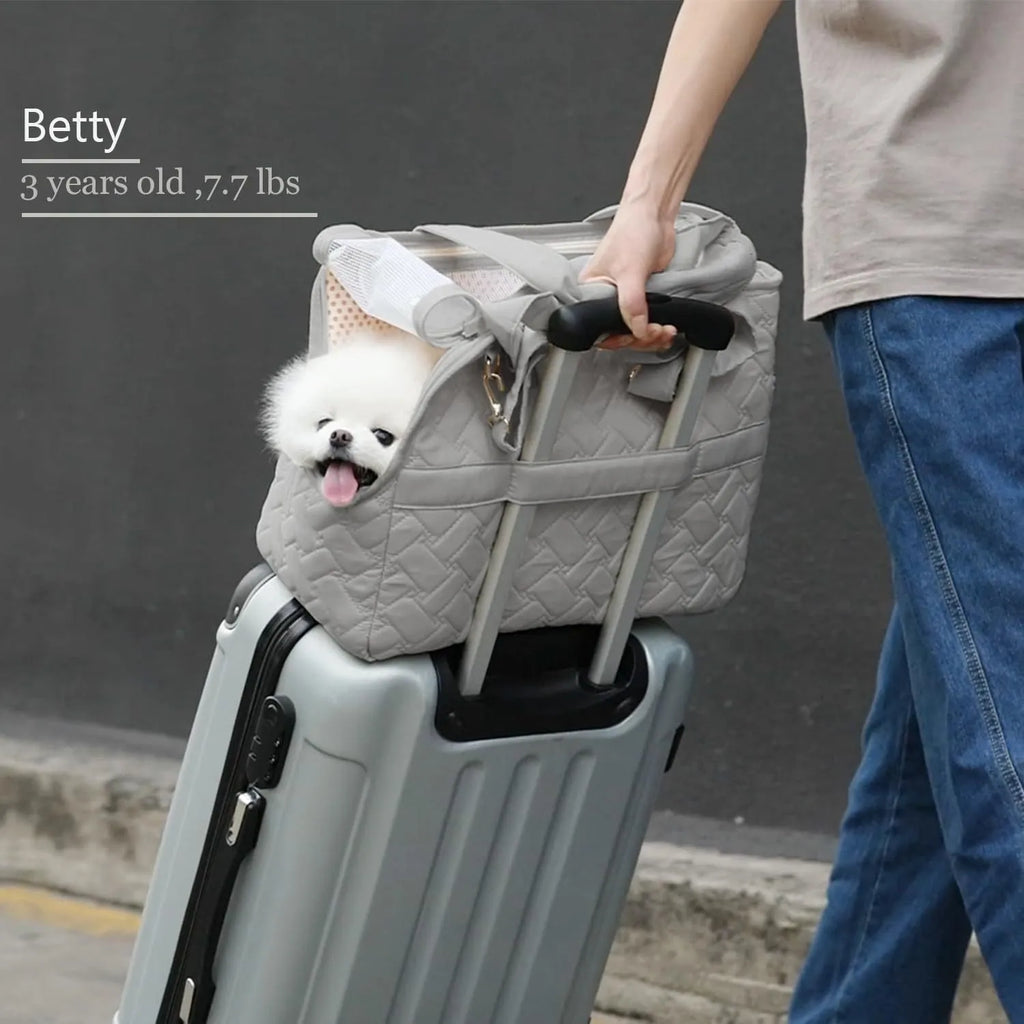 Grey cat carrier handbag with mesh panels and safety cord, measuring 41cm by 30cm