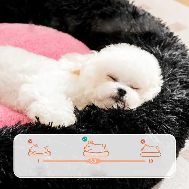 Blue plush kennel-style dog bed with raised sides, shown on a wooden floor.
