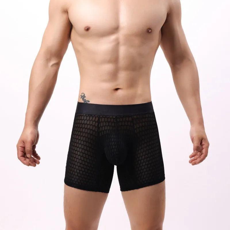 Men's lace mesh boxers in geometric pattern with low-waist design, available in multiple colours