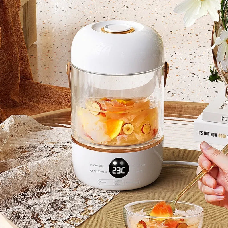 110V-240V electric stew cooker with transparent glass liner and fibre glass body, showing under 1-litre capacity