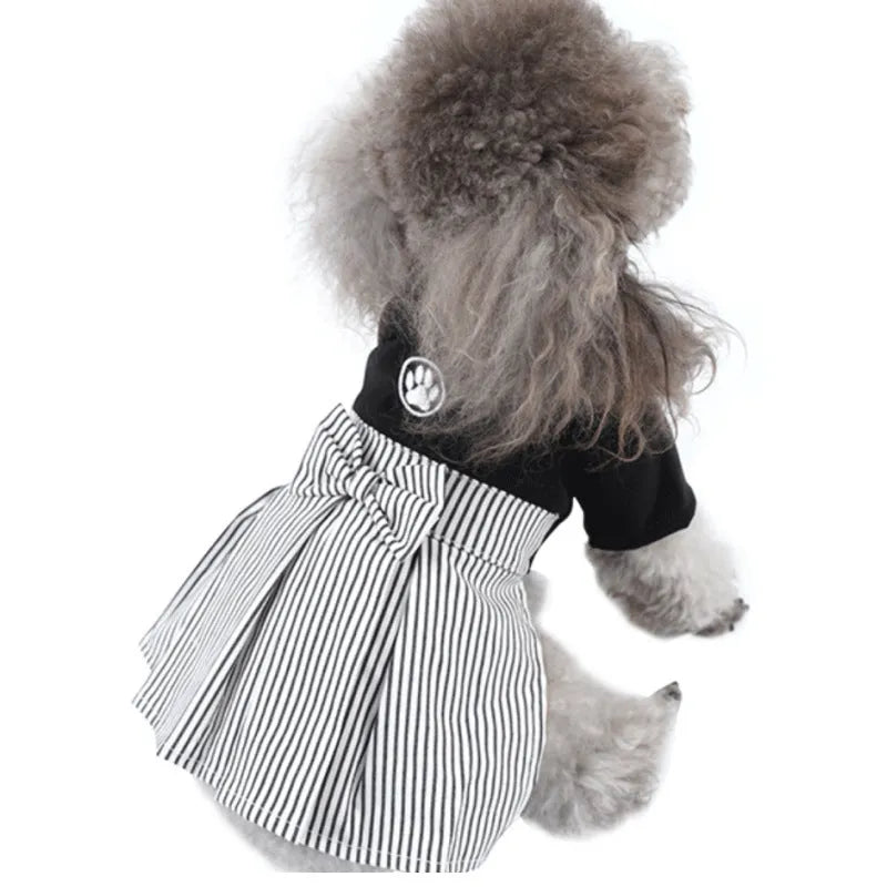 Cotton dog clothing for poodles shown in four-foot pants and skirt styles for spring, summer, and autumn wear.