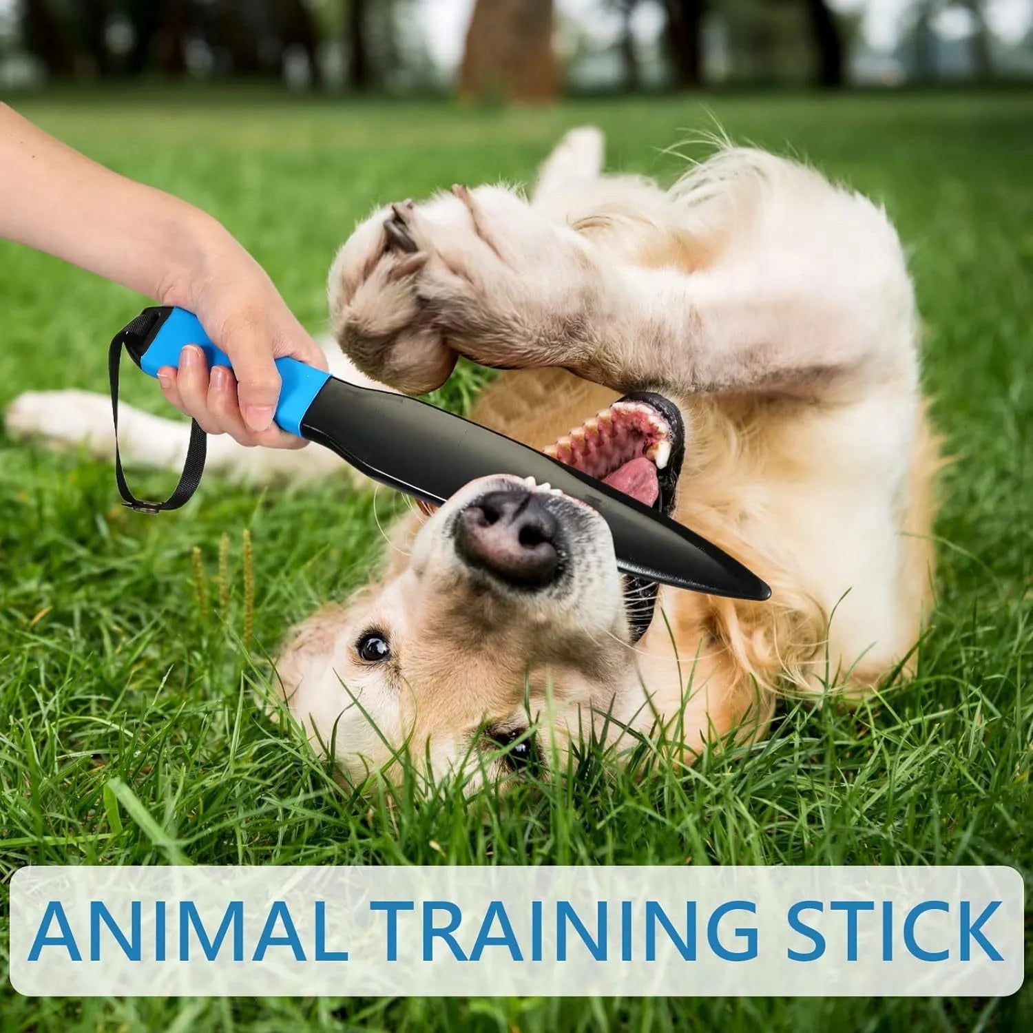 35cm blue-handled dog break stick for training small medium dogs with 90-degree jaw rotation