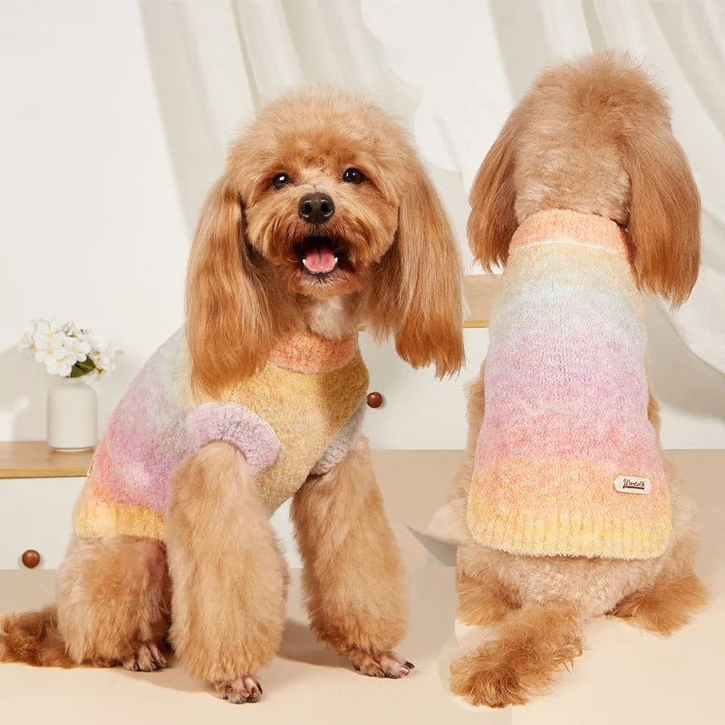 Dopamine-style pet sweater with rainbow circle patterns in wool acrylic blend fabric