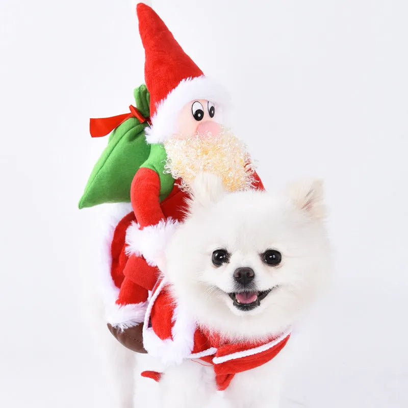Halloween dog costume collection showing multiple themed outfits including bat, devil, and snowman designs
