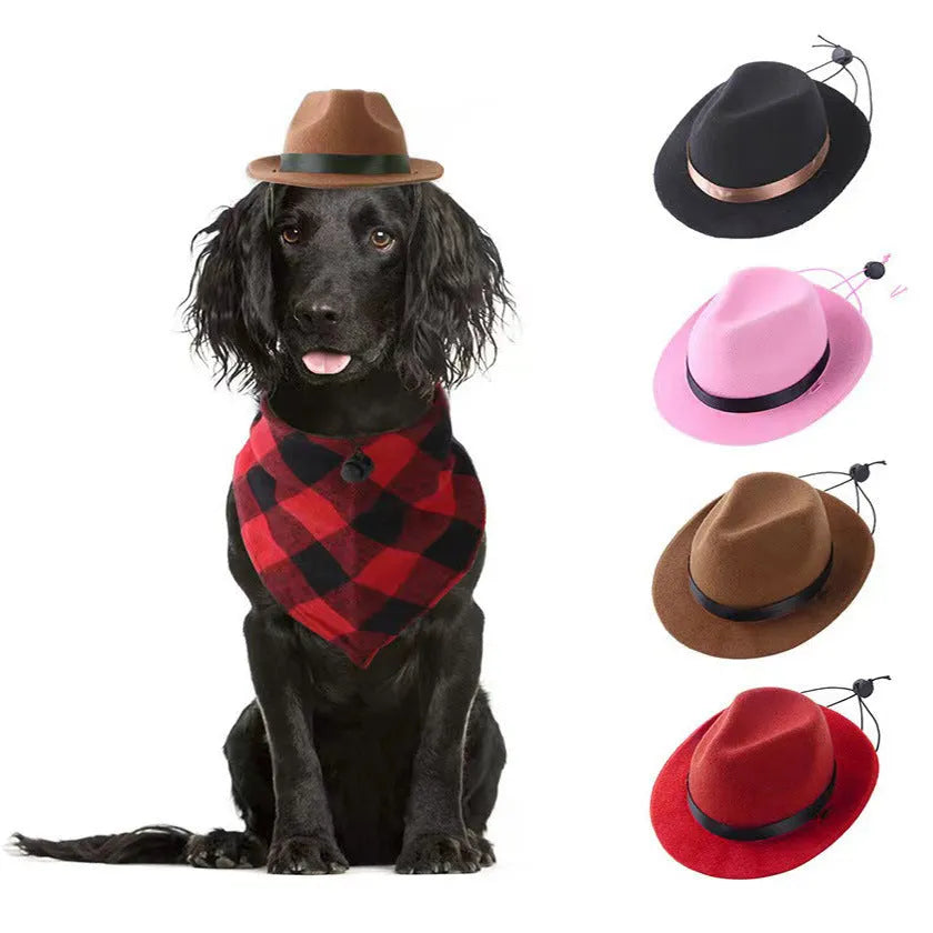 Small dog wearing 155cm diameter wool felt sun hat in denim style with manual stitching details
