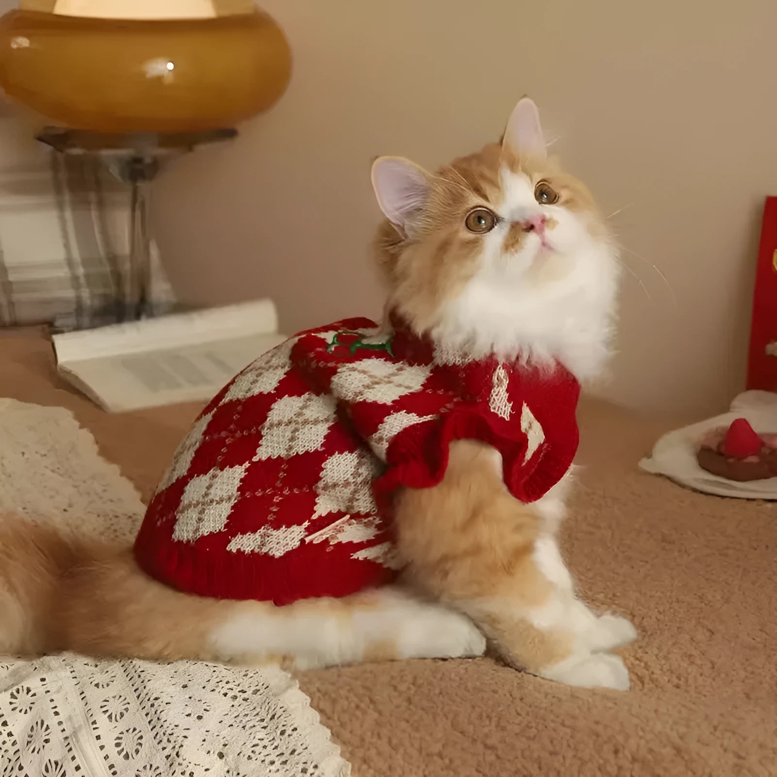 Red cat sweater with rhombic cherry embroidery for autumn and winter wear, shown in casual style