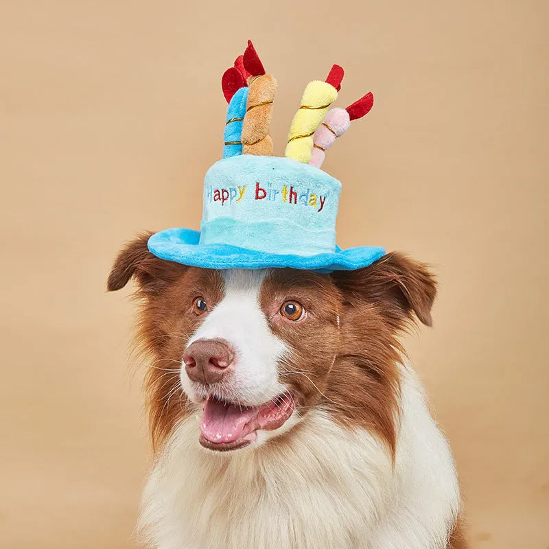 Blue and pink dog birthday hat toy showing 21x15x6.5cm dimensions for pet celebrations
