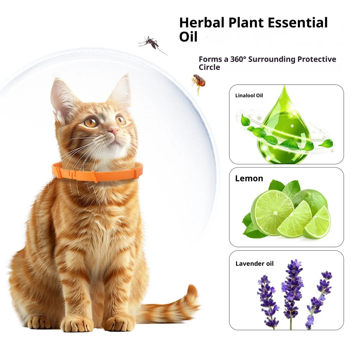 Anti-bite PVC collar for cats and dogs, adjustable, 38cm or 63cm, monochrome, black blue orange grey