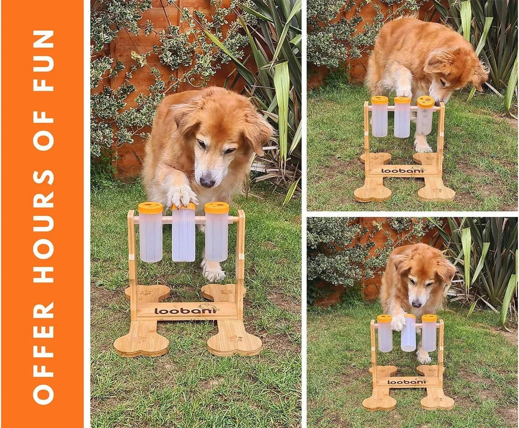 Wooden dog puzzle toy treat dispenser measuring 31x30x20cm with compartments for canine mental stimulation