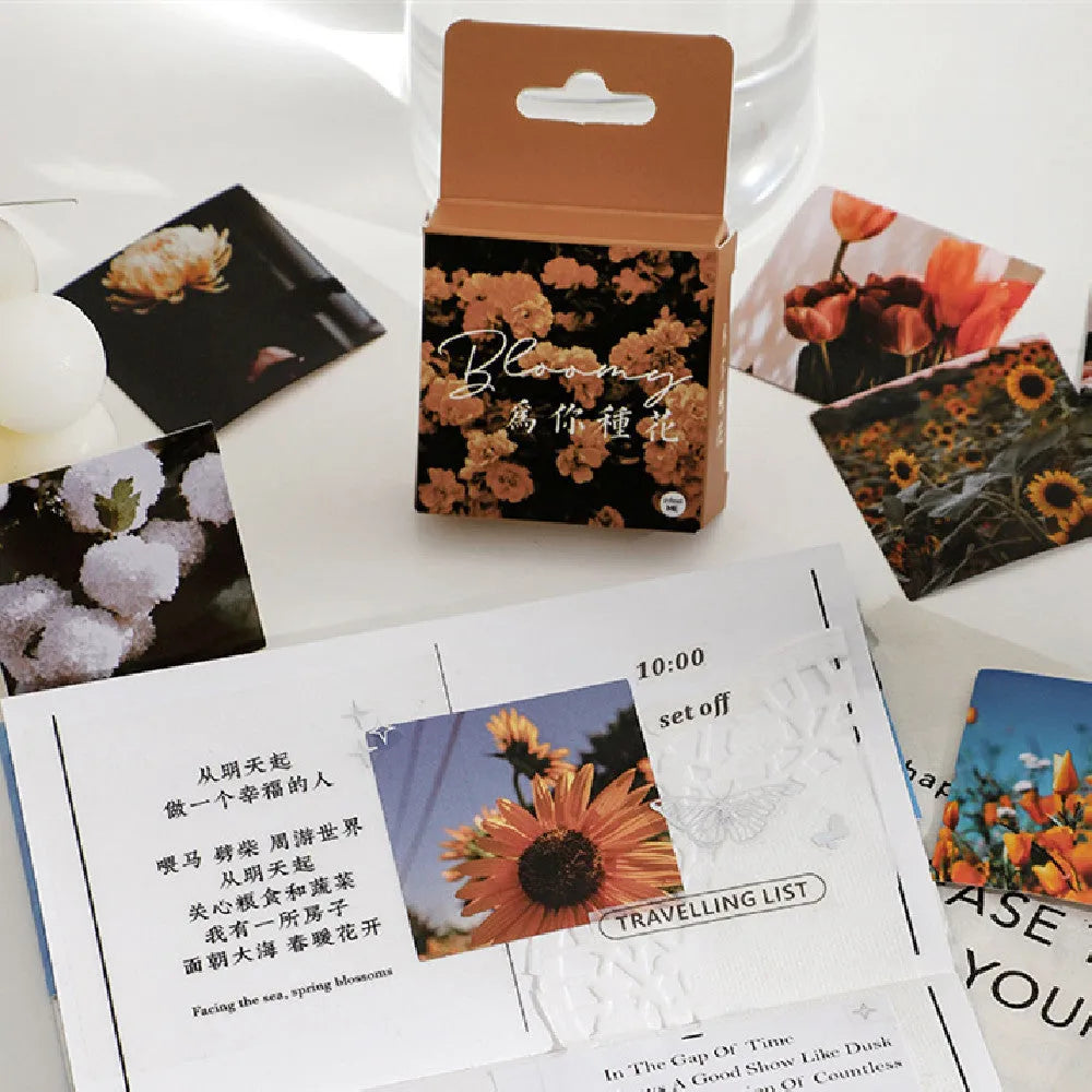 Mountain and Sea Sunshine decorative sticker collection showing six colour variations in 44mm square format