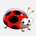 14.5cm ladybird PVC sticker for car windows in three colour variations with removable adhesive
