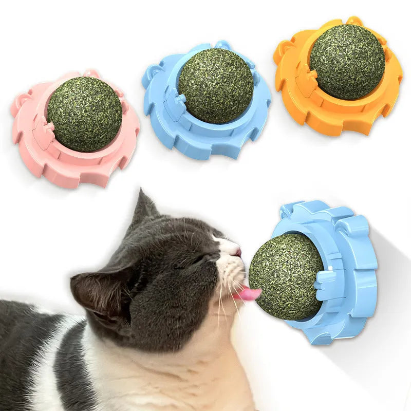 Adhesive catnip molar pet toy in blue, orange, or pink colours with textured surface
