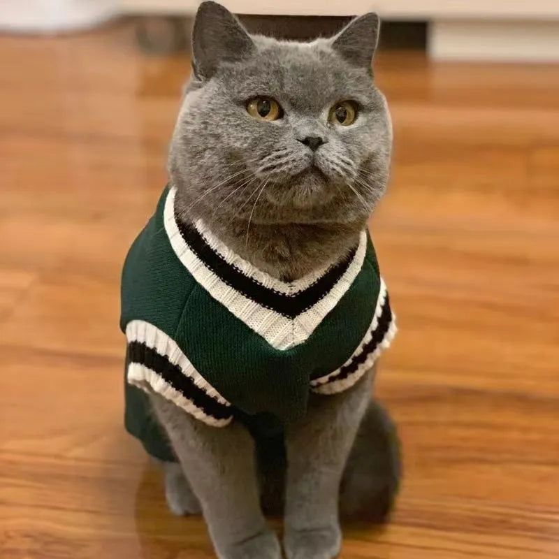 Silver gradual layer college style knitted cat winter sweater in blue duck colour