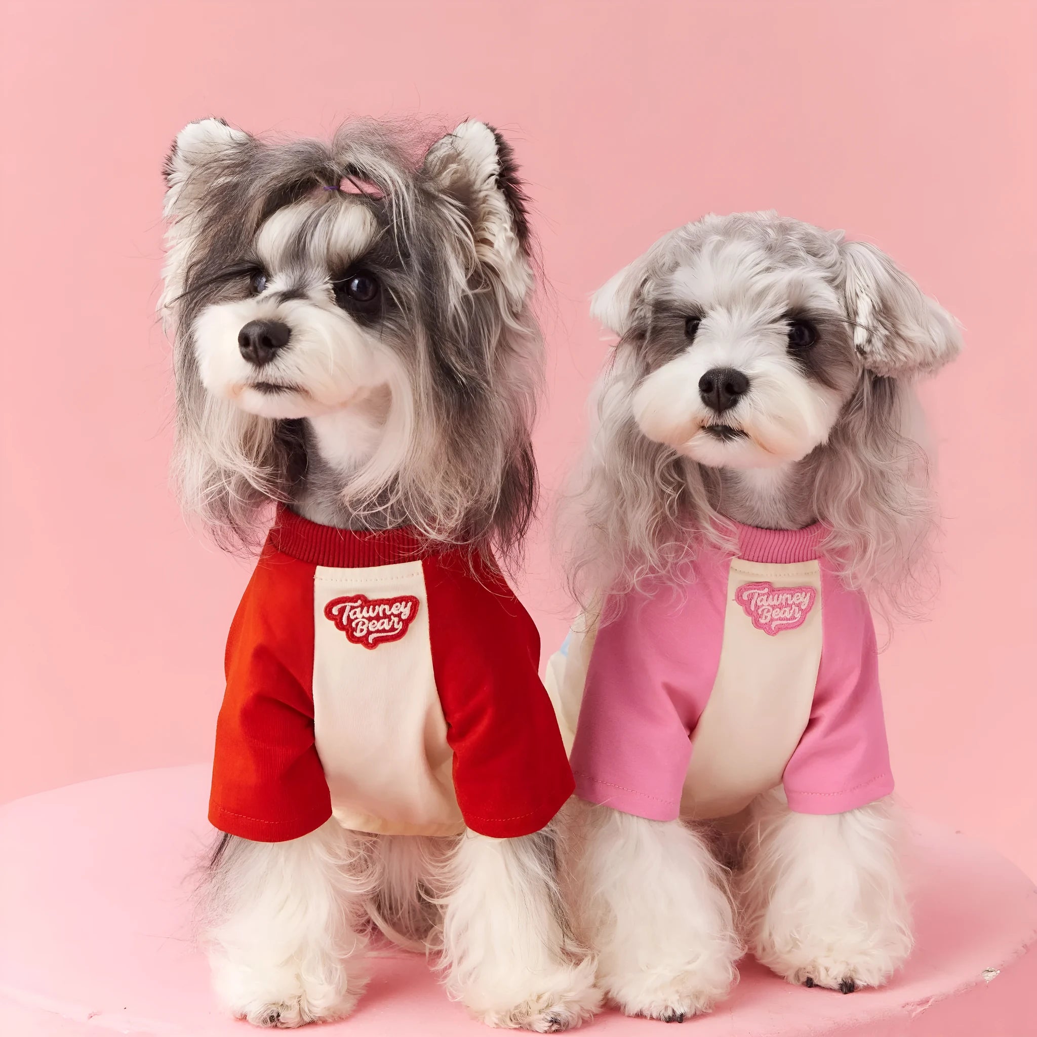 Cotton summer dog clothes with embroidered contrast colour design in red or pink options