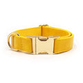 Leather dog collar with velvet texture section in colour block design, shown on a buckle.