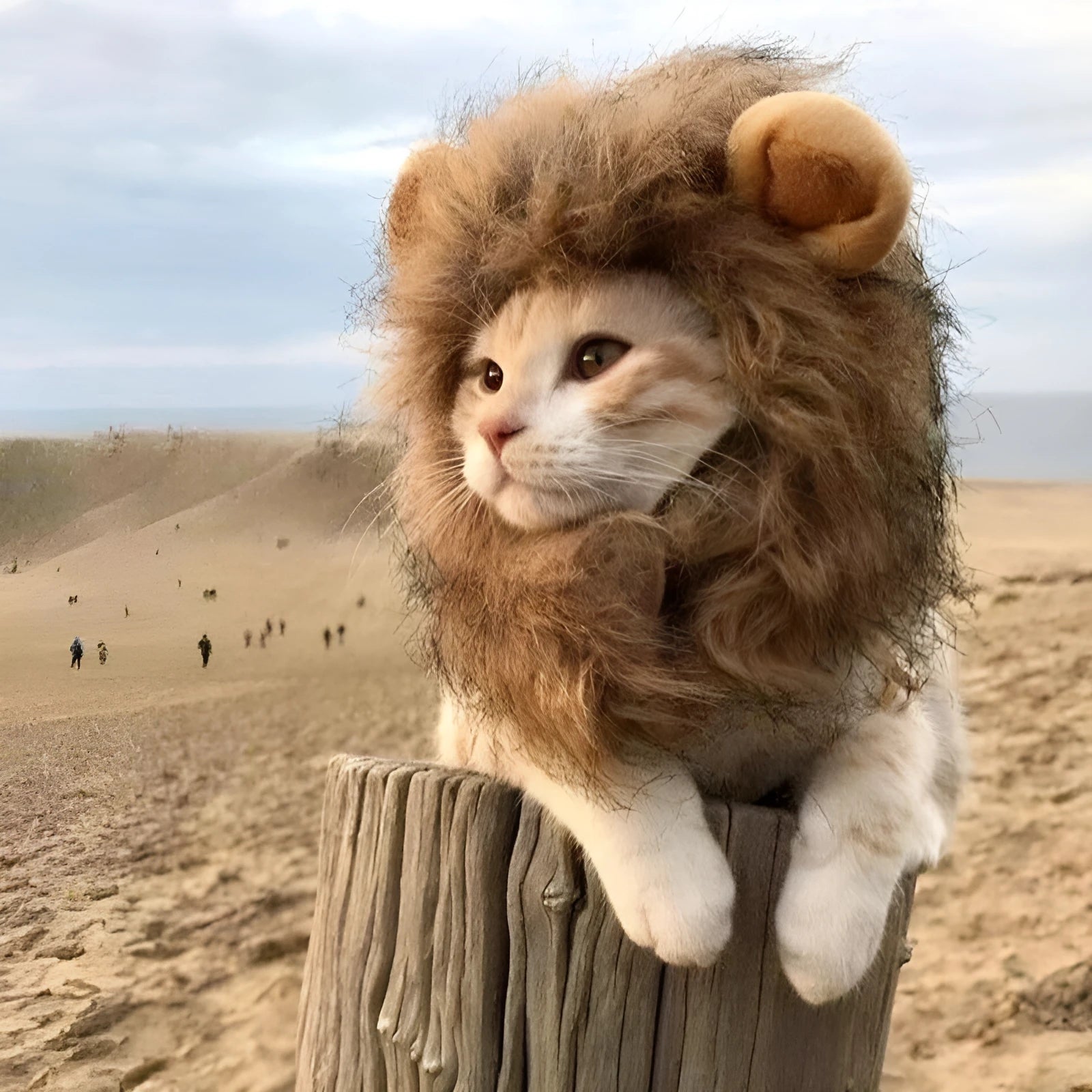 Lion mane wig for cats with artificial hair and adjustable elastic band in three sizes