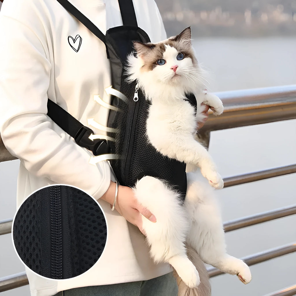 Adjustable dog carrier backpack worn on front with small dog in legs-out position